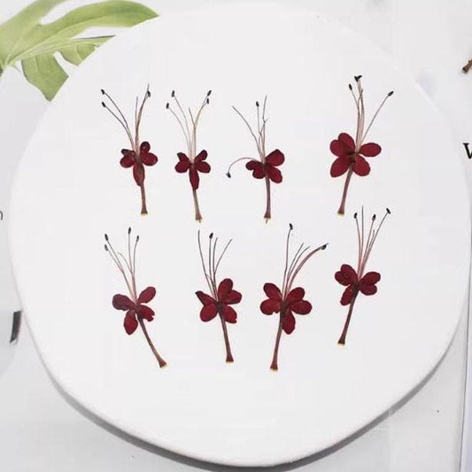 Dark Red Pressed Flowers - 12 PCS - Resin Crafts