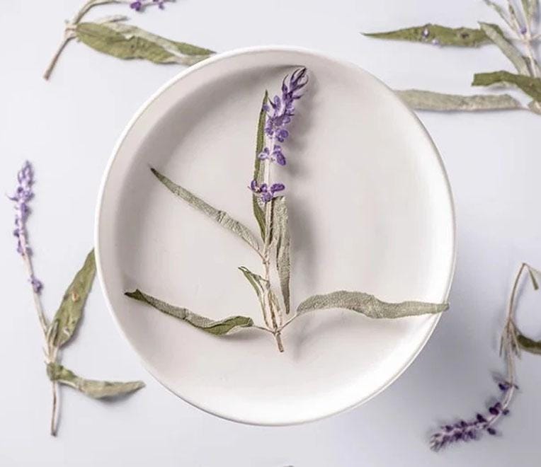 Purple Pressed Flower Stems - 12 PCS Dry Flower Pack
