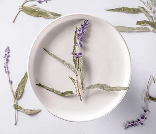 Purple Pressed Flower Stems - 12 PCS Dry Flower Pack