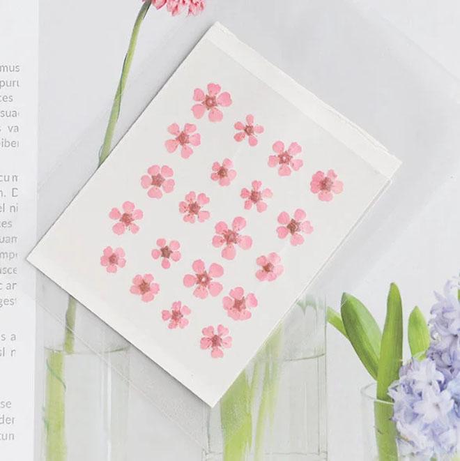 20PCS Pink Pressed Flowers: Small Dried Narcissus (0.5-0.8cm)