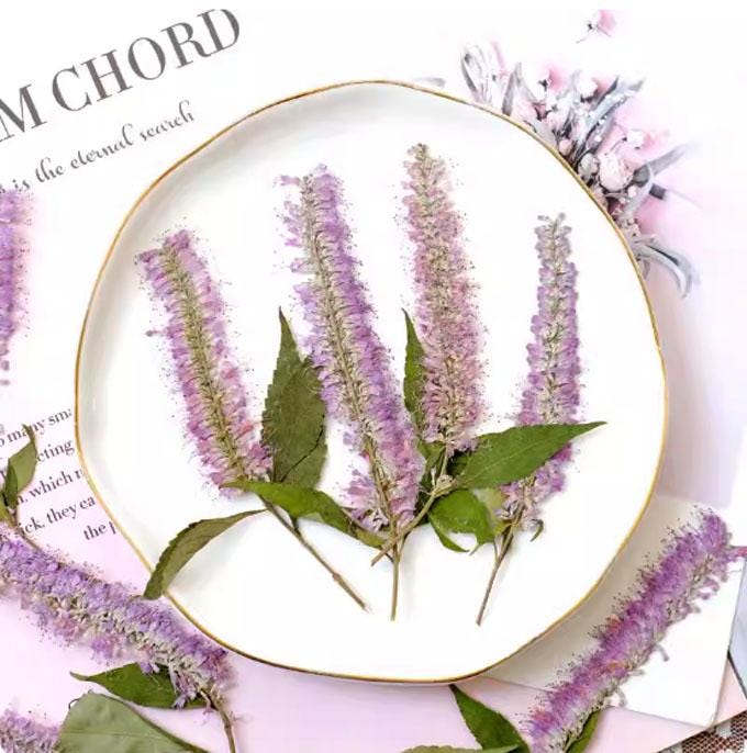 Purple Willow Pressed Flowers - 6 PCS - Wedding Invitation Embellishments