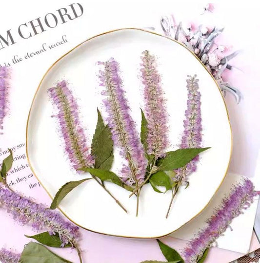 Purple Willow Pressed Flowers - 6 PCS - Wedding Invitation Embellishments