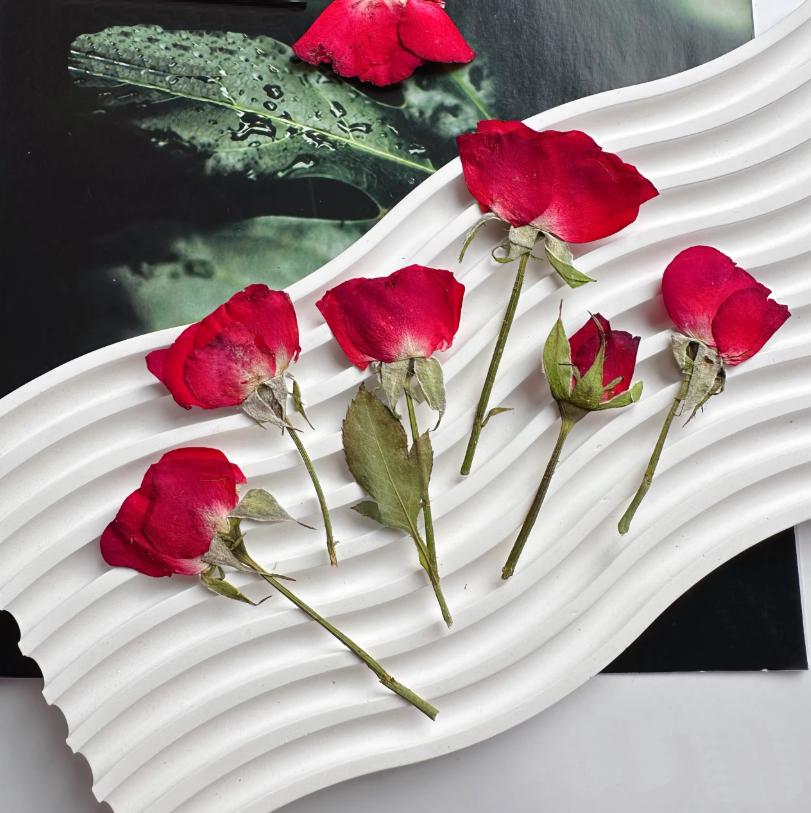 Dried Pressed Flower,6 PCS/Pack,red Rose Buds Pressed, Real Dry Rose Flower Stems Tiny,Rose Buds Dry Preserved Flowers Rose Buds