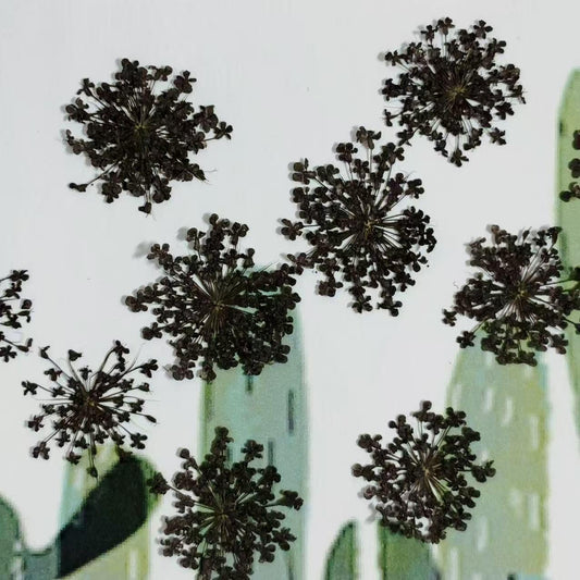 Black Dried Lace Flowers: Pressed Floral Embellishments (10 PCS/pack)