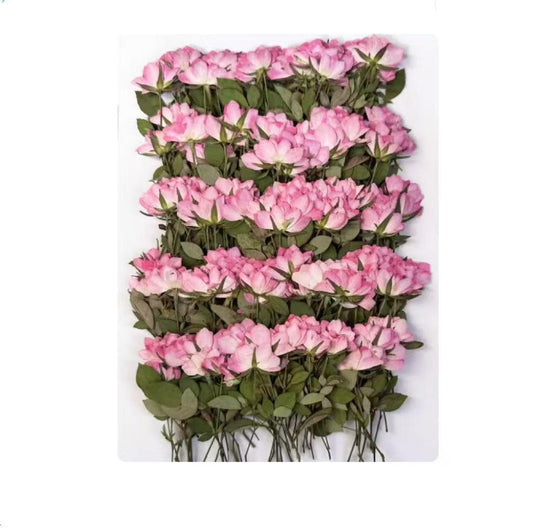 Pink pressed flowers,Pink rose pressed flowers,dried flower,A Pack of 6 PCS, pink flower,Pink rose flower stem, Scrapbook flowers