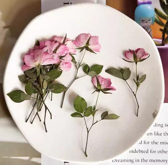 Pink pressed flowers,Pink rose pressed flowers,dried flower,A Pack of 6 PCS, pink flower,Pink rose flower stem, Scrapbook flowers
