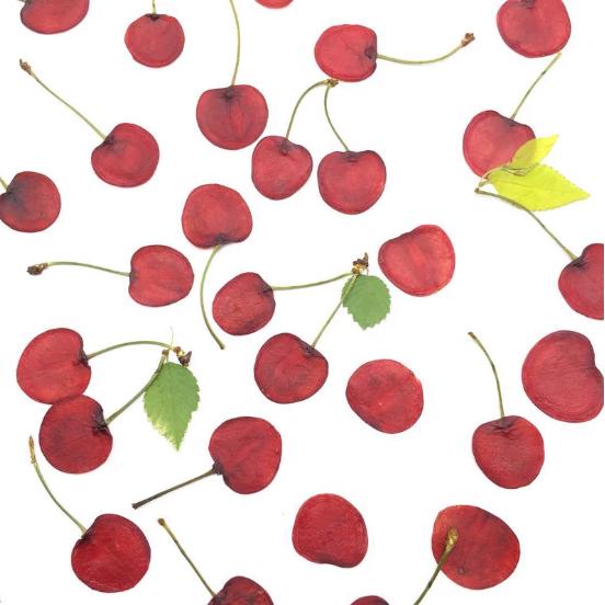 Pressed Dried Cherry, Dried Fruit slice,Set (2 PCS)