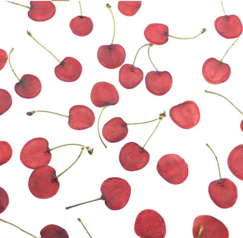 Pressed Dried Cherry, Dried Fruit slice,Set (2 PCS)