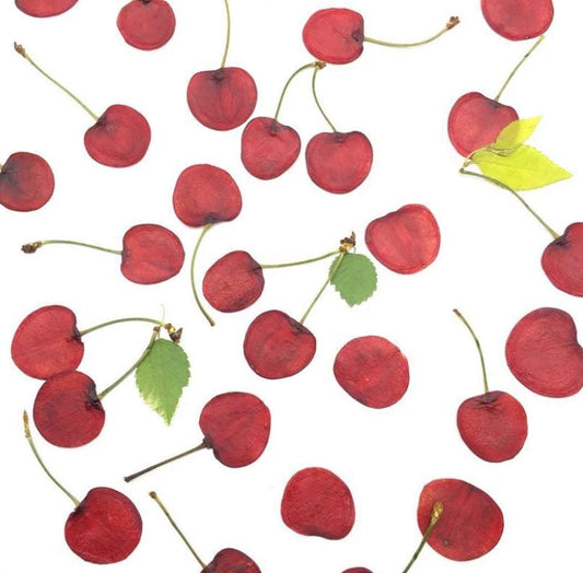 Pressed Dried Cherry, Dried Fruit slice,Set (2 PCS)