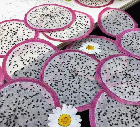 Pressed Dried Dragon Fruit, Dried Fruit Set (2 PCS)