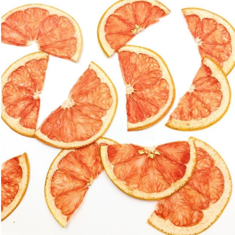 Pressed Fruits,Pressed Half slice grapefruit ,Set of 2 PCS,dried grapefruit slice,dried Fruits