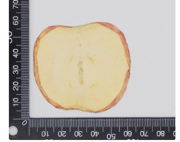 Pressed Fruits,Pressed Apple slice,Set of 2 PCS,dried Apple slice,dried Fruits