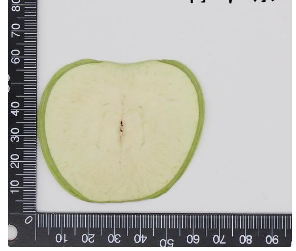 Pressed Fruits,Pressed Apple slice,Set of 2 PCS,dried Apple slice,dried Fruits