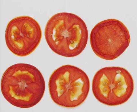 Pressed Dried Tomato Fruit, Dried Fruit Set (6 PCS)
