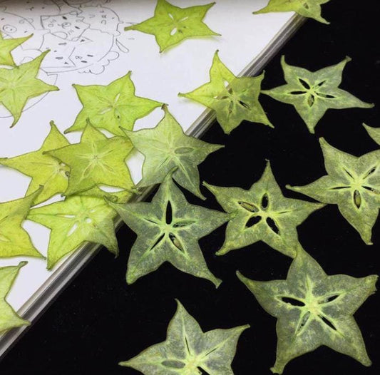 Pressed Star Fruit, Dried Star Fruit Set (2 PCS)resin casting Fruit