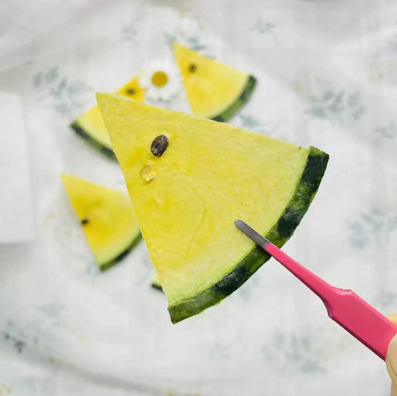 Pressed Fruits,Pressed Yellow watermelon slice,Set of 1 PCS,dried Strawberry slice,dried Fruits