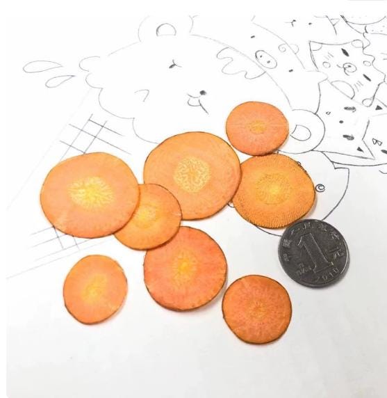 Pressed Fruits,Pressed carrot carica slice,6 PCS/Pack,dried Strawberry slice,dried Fruits